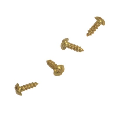 BRASS SCREWS