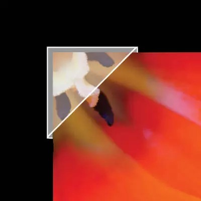 POLYPROPYLENE PHOTO CORNERS